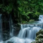 Curug Balong Endah, Wisata Air Terjun Tertinggi Nan Eksotis di Bogor
