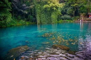 Situ Cipanten, Danau Unik di Majalengka dengan Pemandangan Memukau