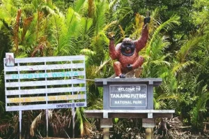 Taman Nasional Tanjung Puting, Destinasi Ekowisata Paling Hits di Kalimantan Tengah
