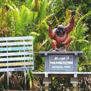 Taman Nasional Tanjung Puting, Destinasi Ekowisata Paling Hits di Kalimantan Tengah