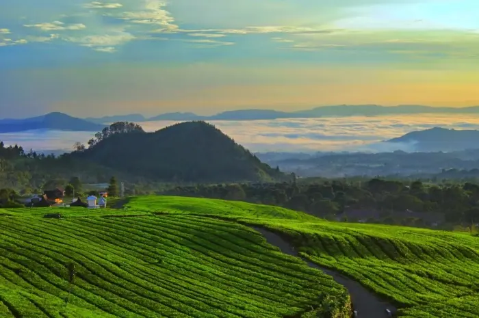 Destinasi Wisata di Subang